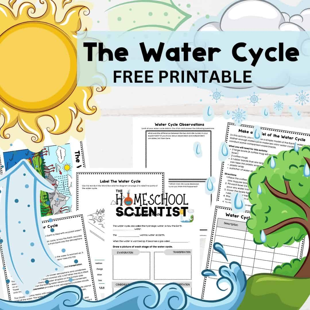 Water Cycle Primary Printable Worksheets