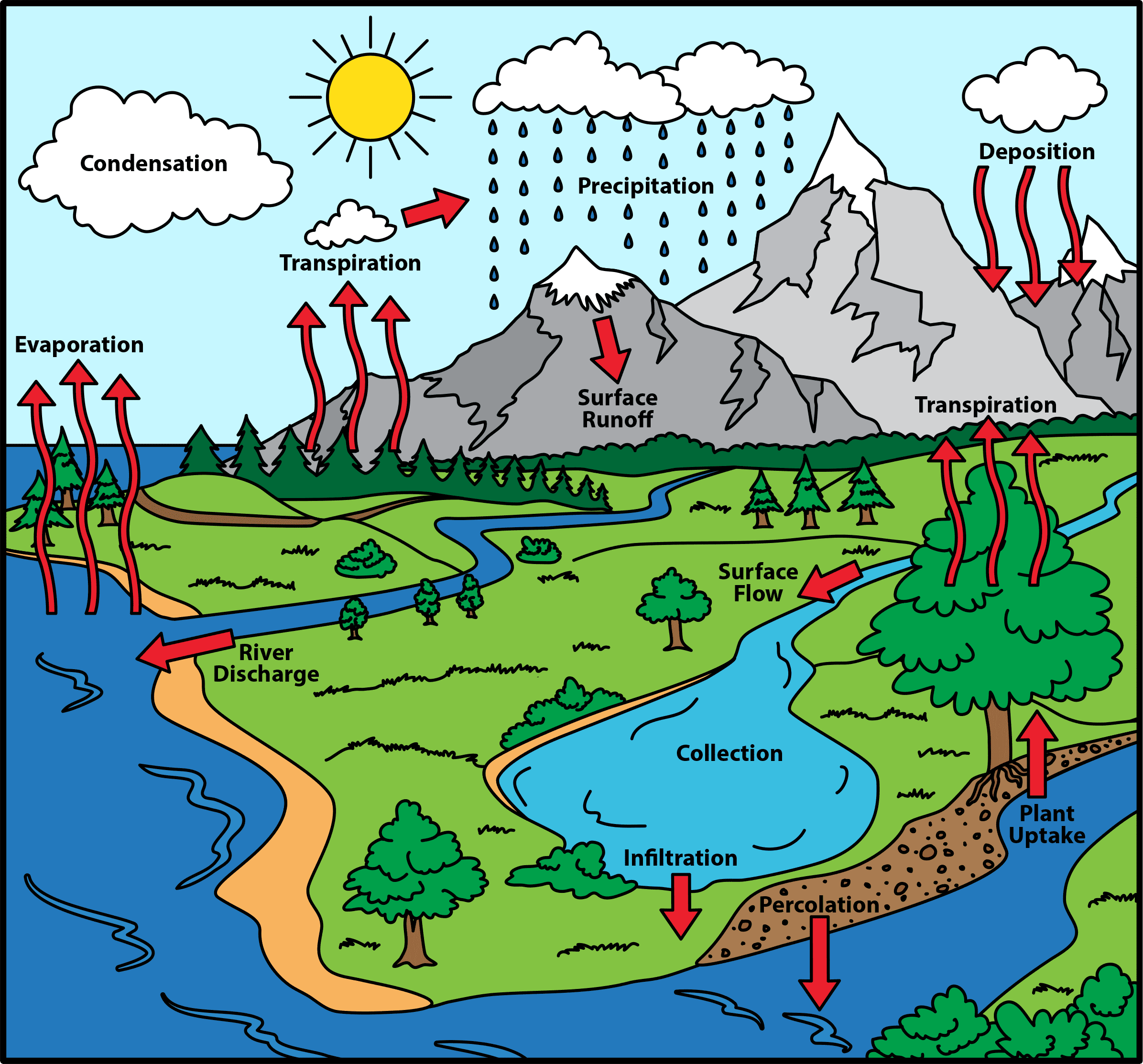 Learning About The Water Cycle The Homeschool Scientist